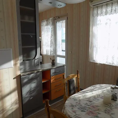 Lyulyak 公寓 *