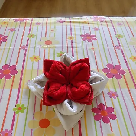 Lyulyak 公寓 *